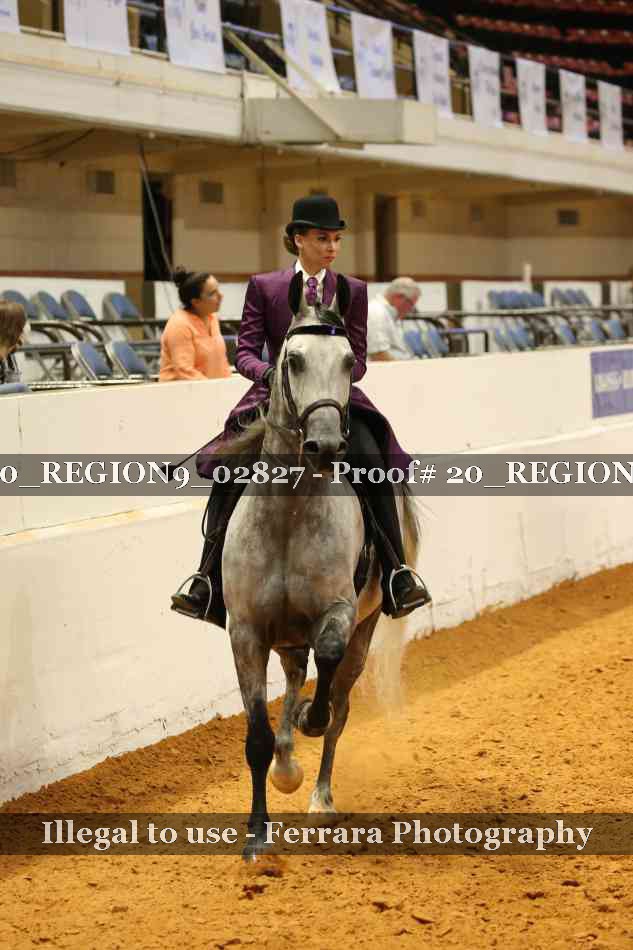 Proof 20_REGION9_02827