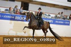 20_REGION9_02829 proof