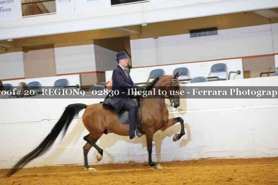 Proof 20_REGION9_02830