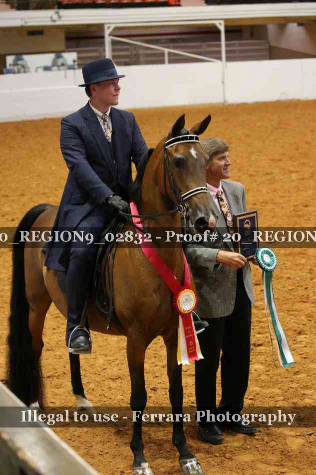 Proof 20_REGION9_02832