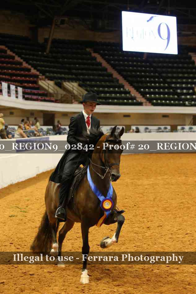 Proof 20_REGION9_02842