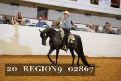 20_REGION9_02867 proof