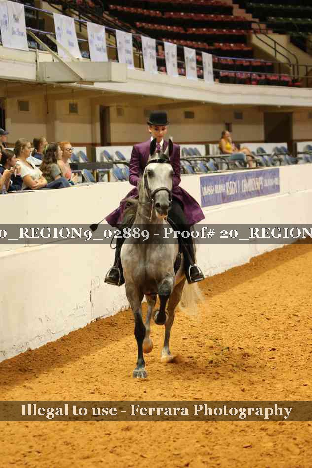 Proof 20_REGION9_02889