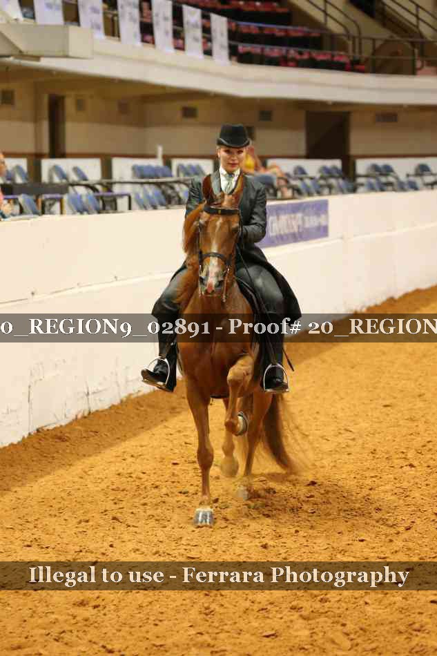 Proof 20_REGION9_02891