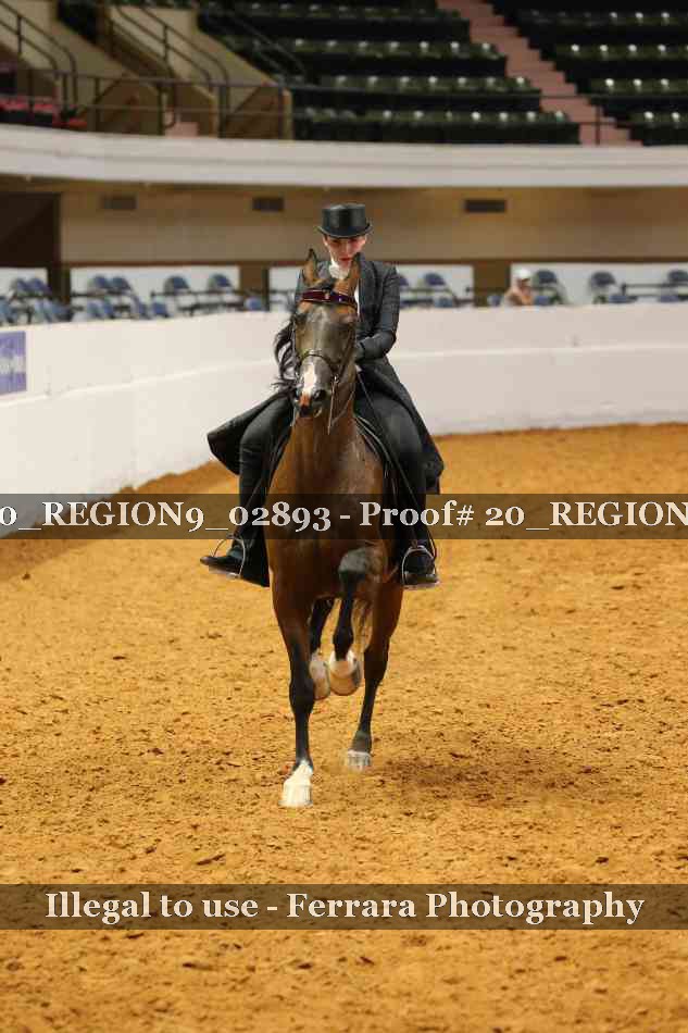 Proof 20_REGION9_02893