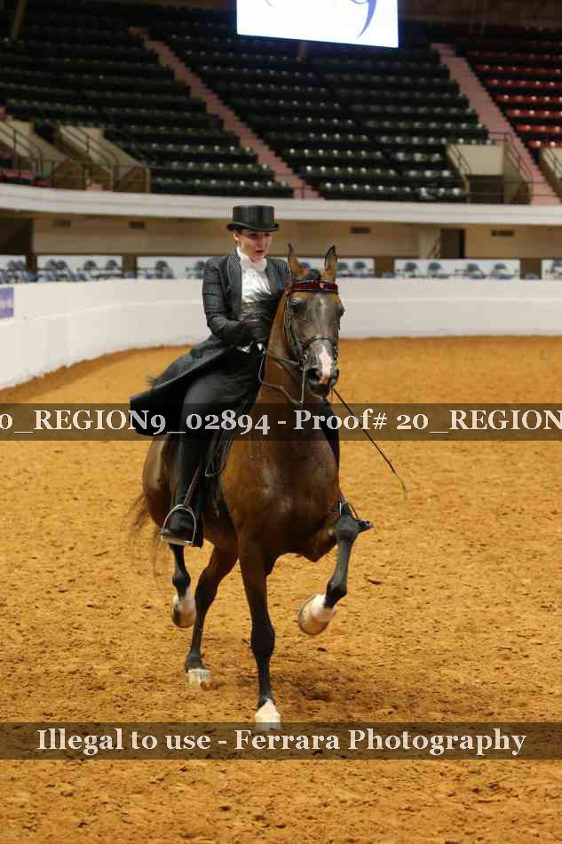 Proof 20_REGION9_02894