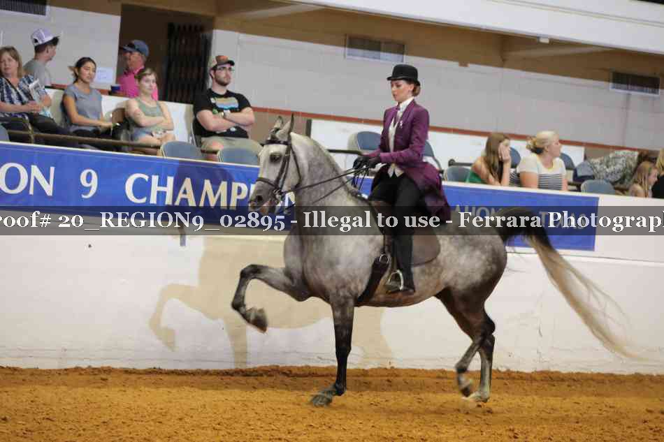 Proof 20_REGION9_02895