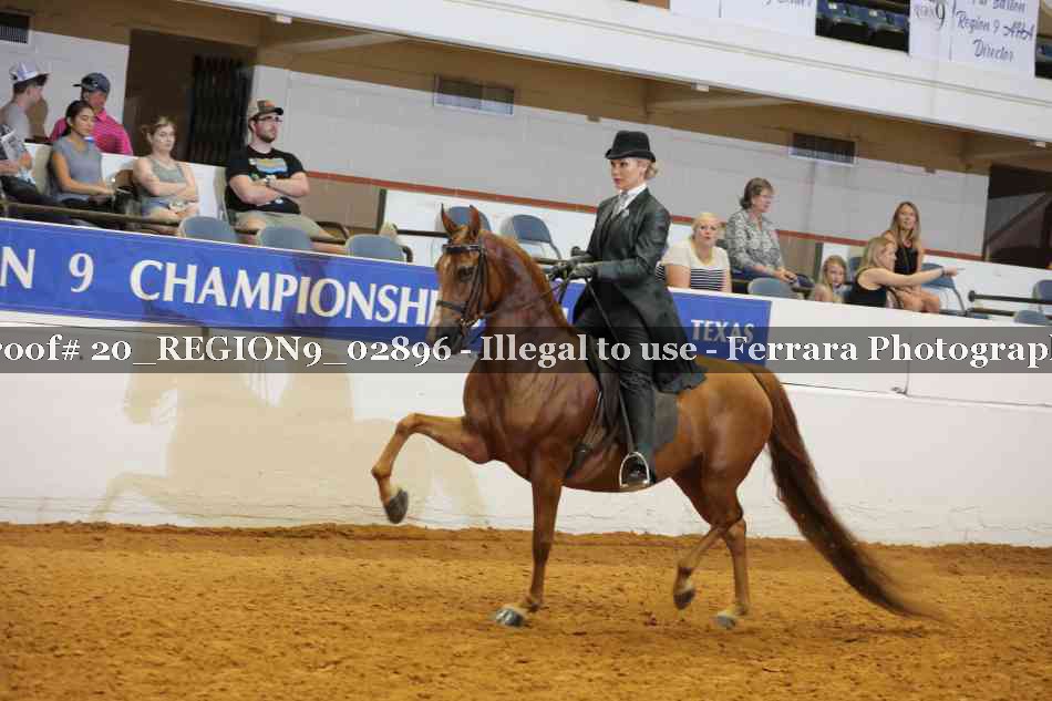 Proof 20_REGION9_02896