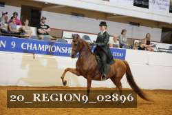 20_REGION9_02896 proof