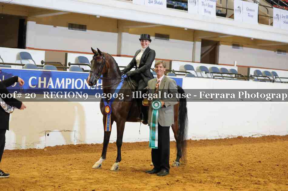 Proof 20_REGION9_02903