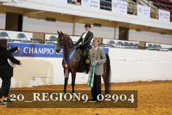 20_REGION9_02904 proof