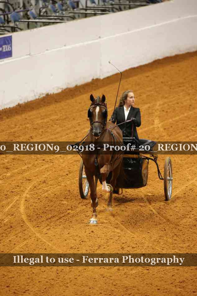 Proof 20_REGION9_02918