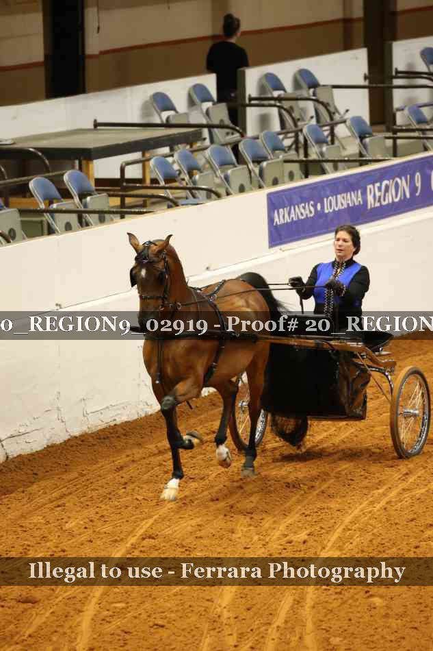 Proof 20_REGION9_02919