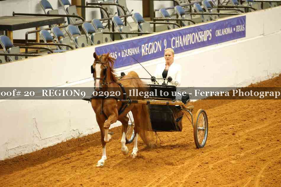 Proof 20_REGION9_02920