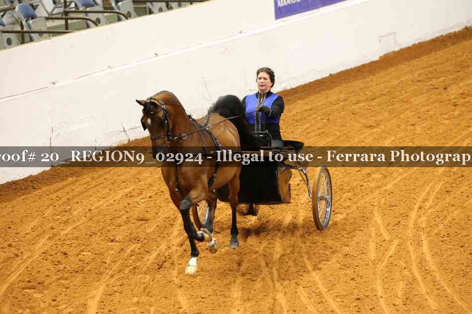 Proof 20_REGION9_02924