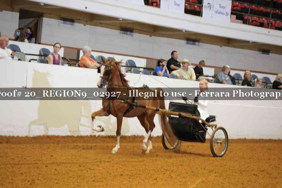 Proof 20_REGION9_02927