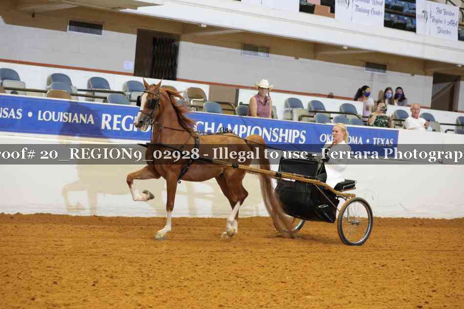 Proof 20_REGION9_02928