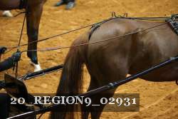20_REGION9_02931 proof