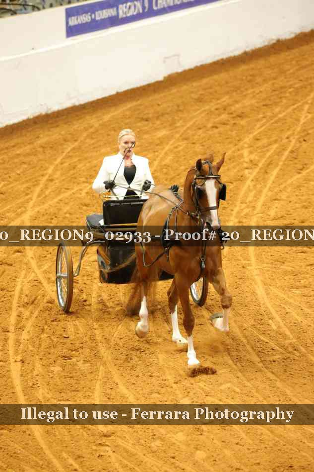 Proof 20_REGION9_02933