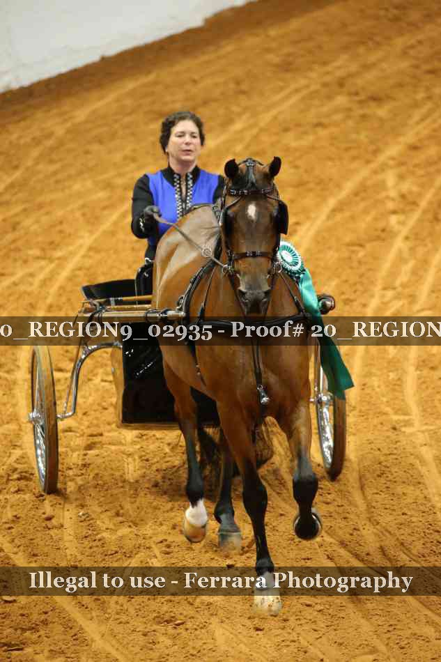Proof 20_REGION9_02935