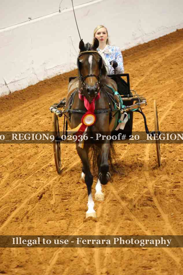 Proof 20_REGION9_02936