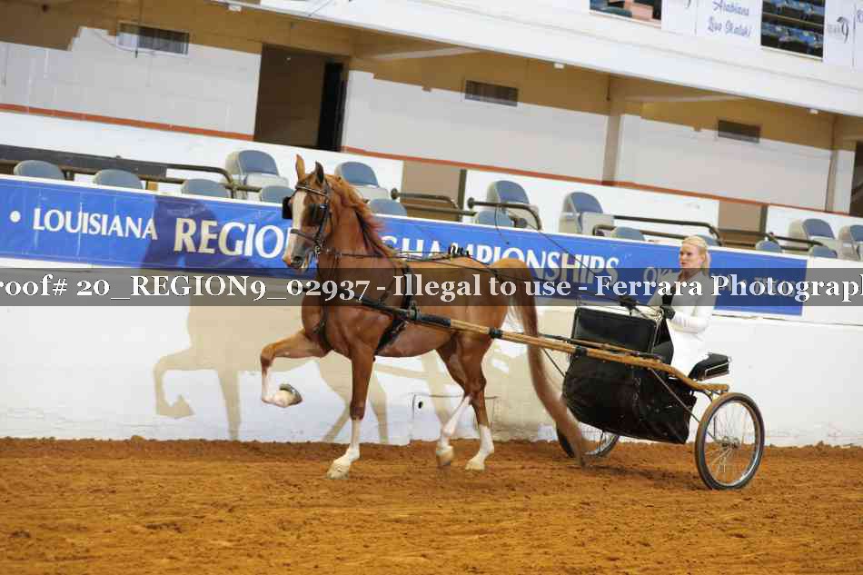 Proof 20_REGION9_02937
