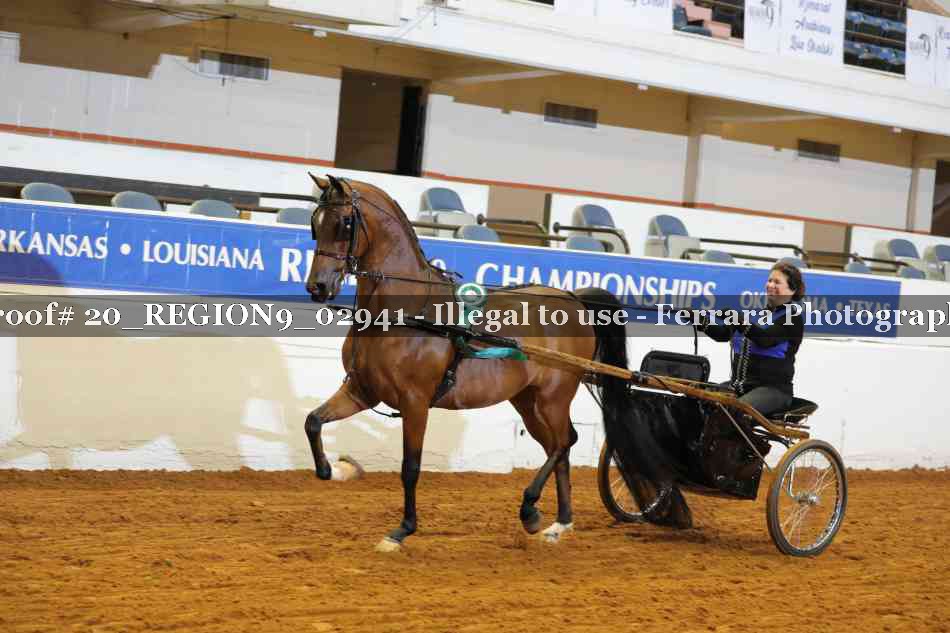 Proof 20_REGION9_02941