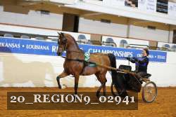 20_REGION9_02941 proof