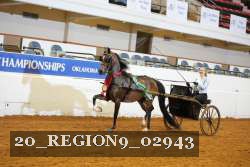 20_REGION9_02943 proof