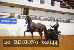 20_REGION9_02944 proof