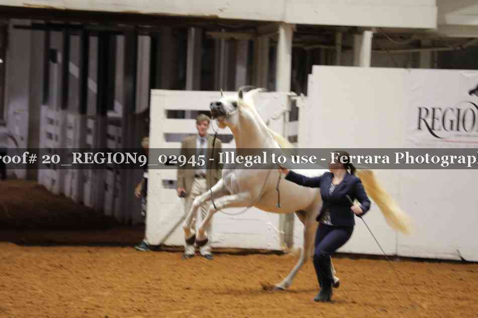 Proof 20_REGION9_02945