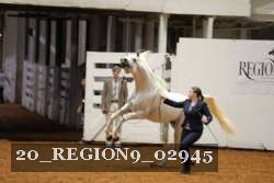 20_REGION9_02945 proof