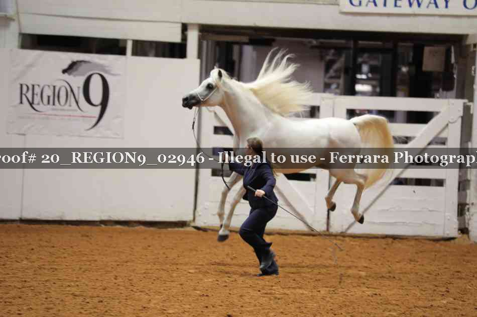 Proof 20_REGION9_02946