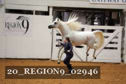20_REGION9_02946 proof