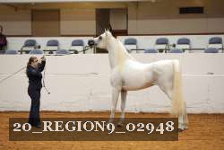 20_REGION9_02948 proof