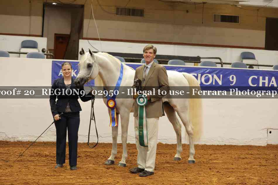 Proof 20_REGION9_02950