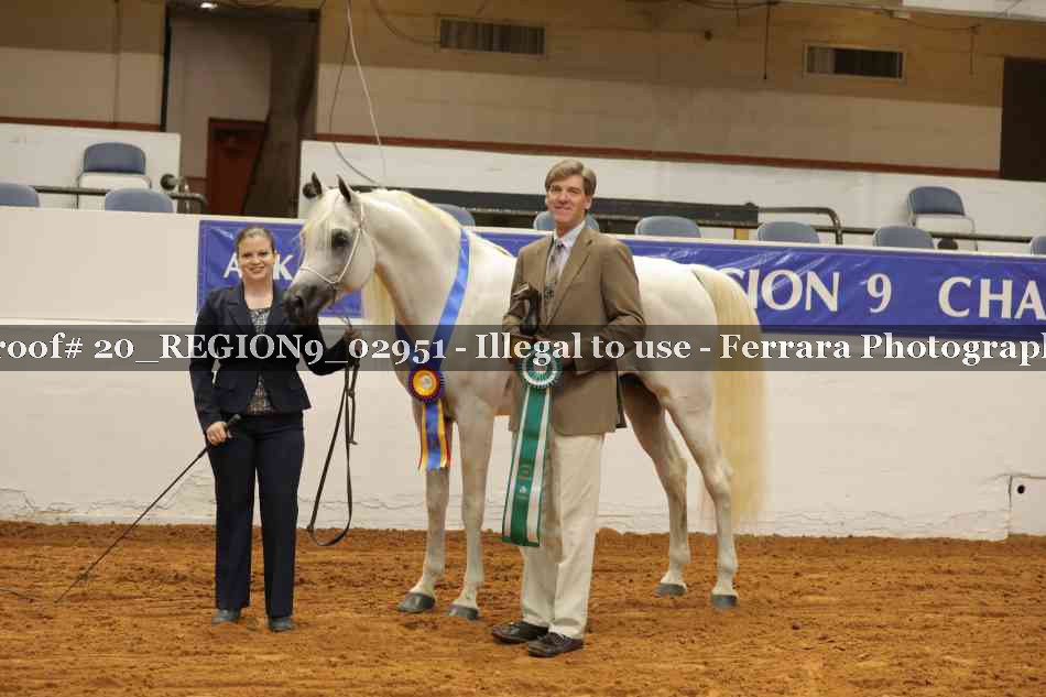 Proof 20_REGION9_02951