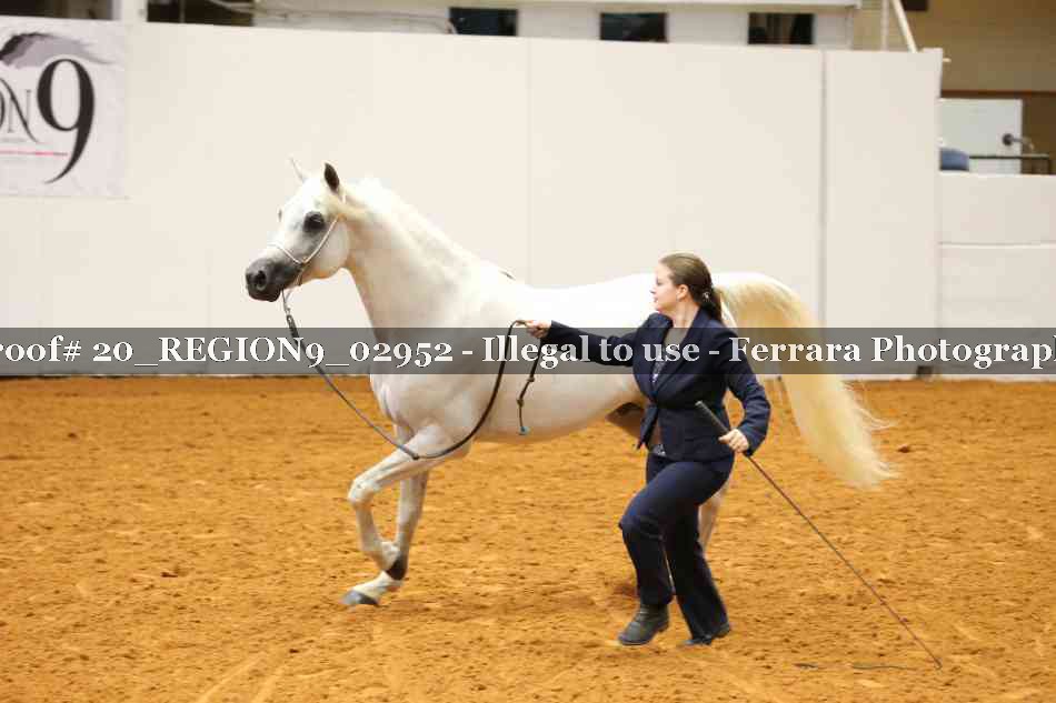 Proof 20_REGION9_02952