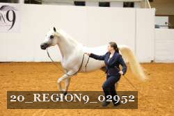 20_REGION9_02952 proof