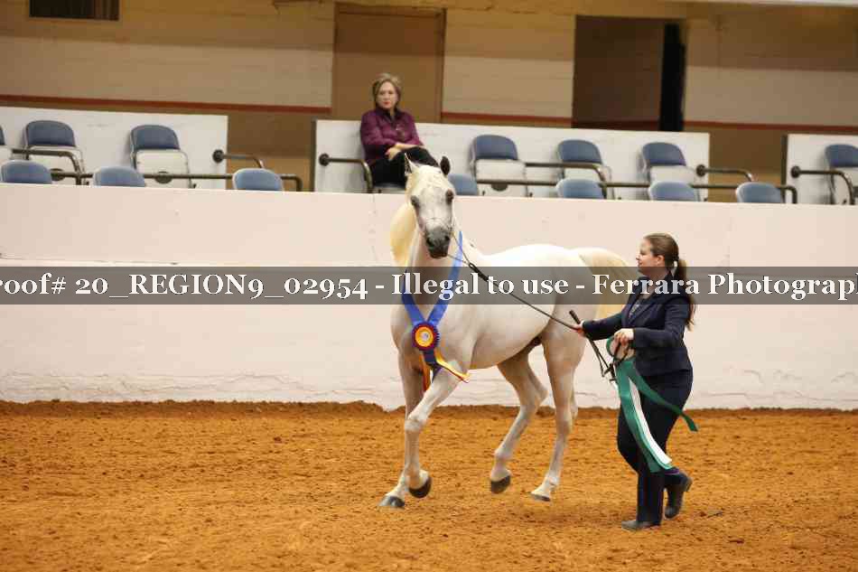 Proof 20_REGION9_02954