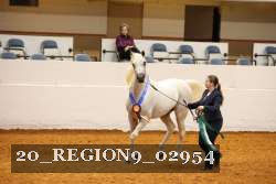 20_REGION9_02954 proof