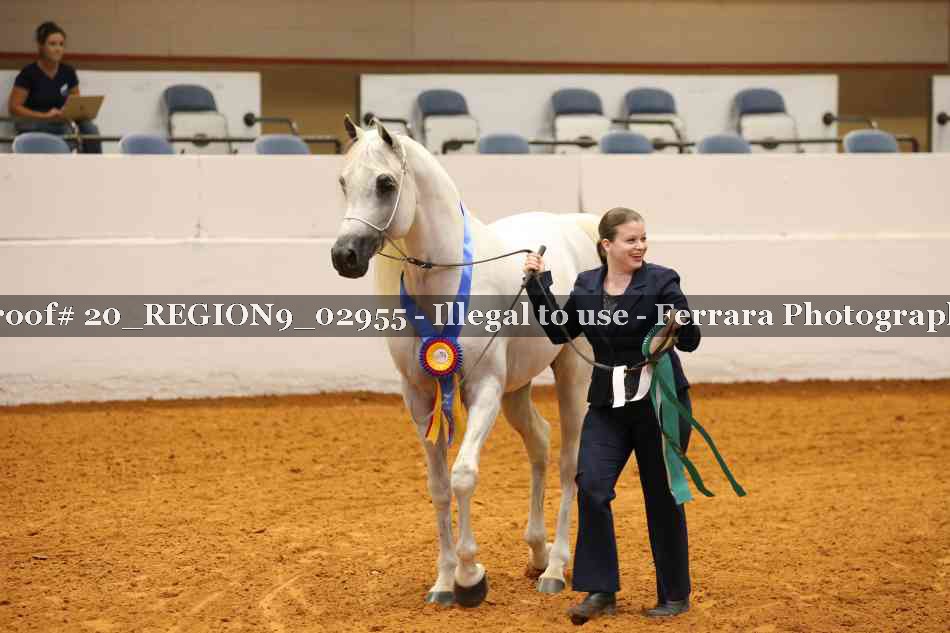 Proof 20_REGION9_02955