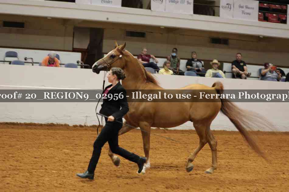 Proof 20_REGION9_02956