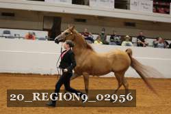 20_REGION9_02956 proof