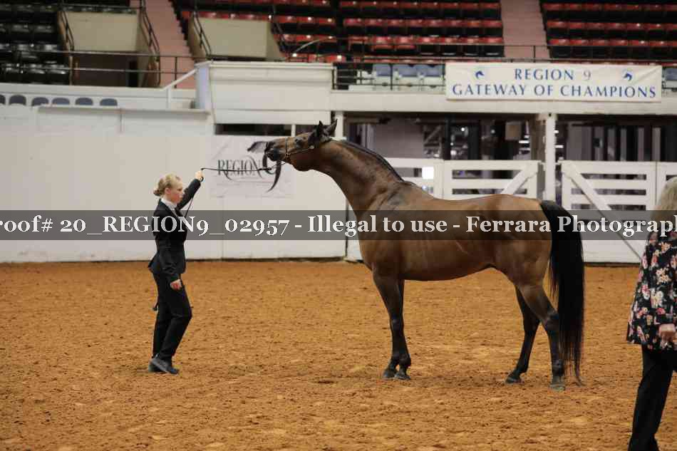 Proof 20_REGION9_02957