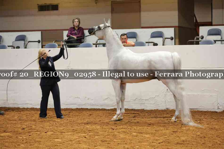 Proof 20_REGION9_02958