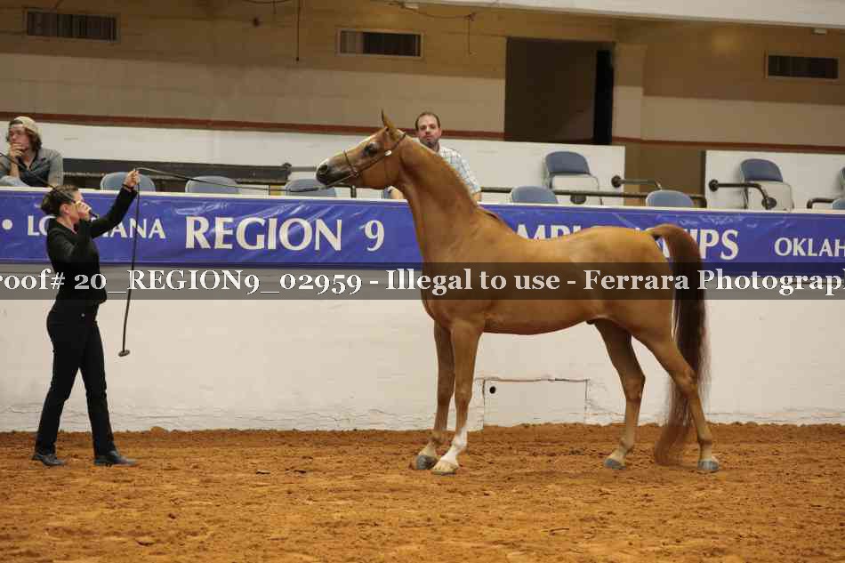 Proof 20_REGION9_02959