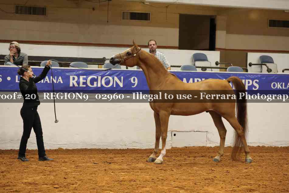 Proof 20_REGION9_02960