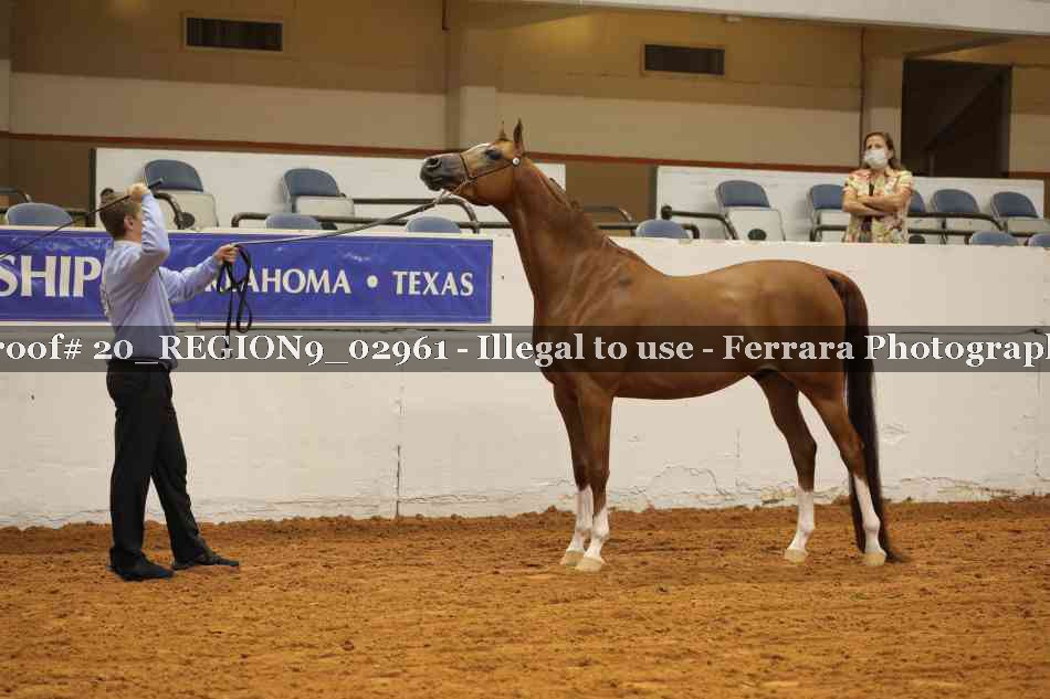 Proof 20_REGION9_02961