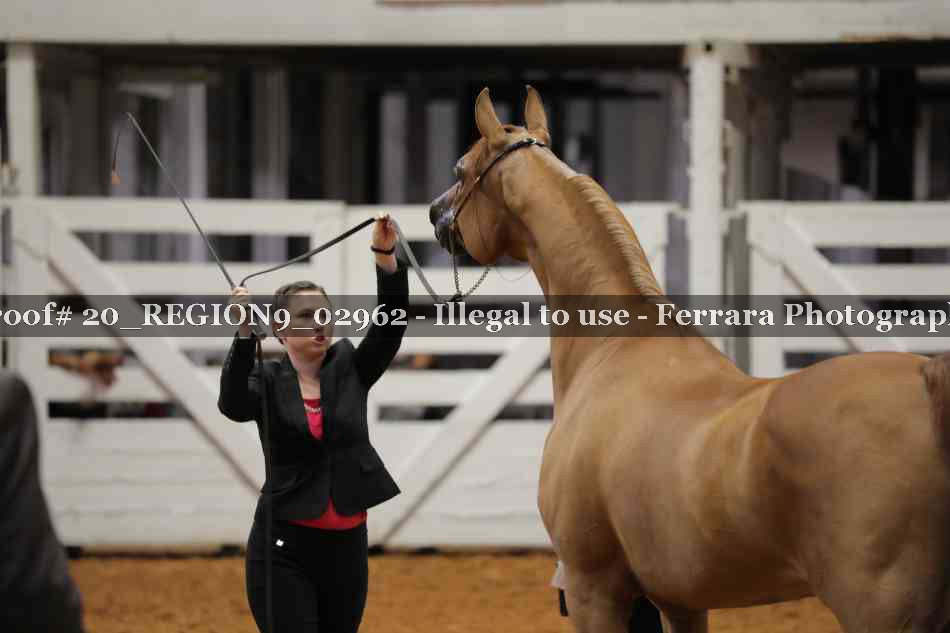 Proof 20_REGION9_02962
